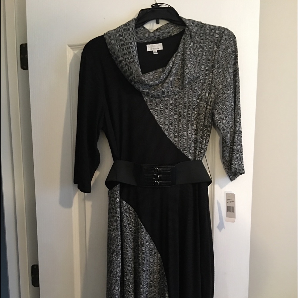 Sweater Dress: Signature By Robbie Bee